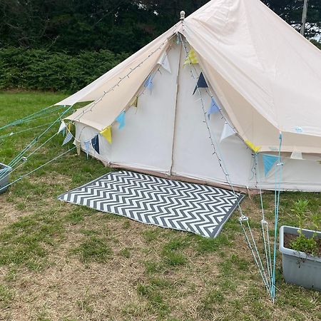 Trevena Cross Glamping & Camping 赫尔斯顿 外观 照片