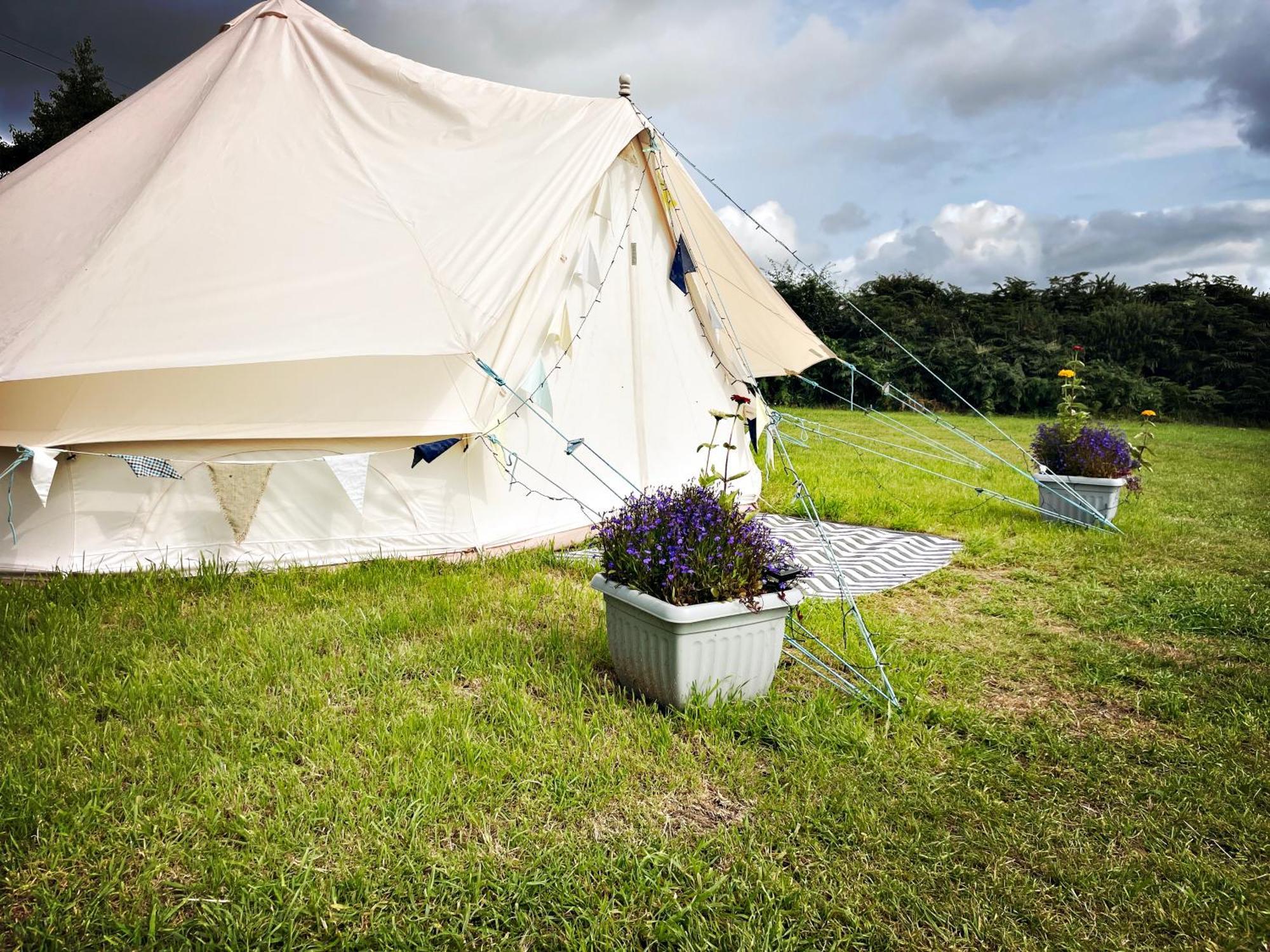 Trevena Cross Glamping & Camping 赫尔斯顿 外观 照片