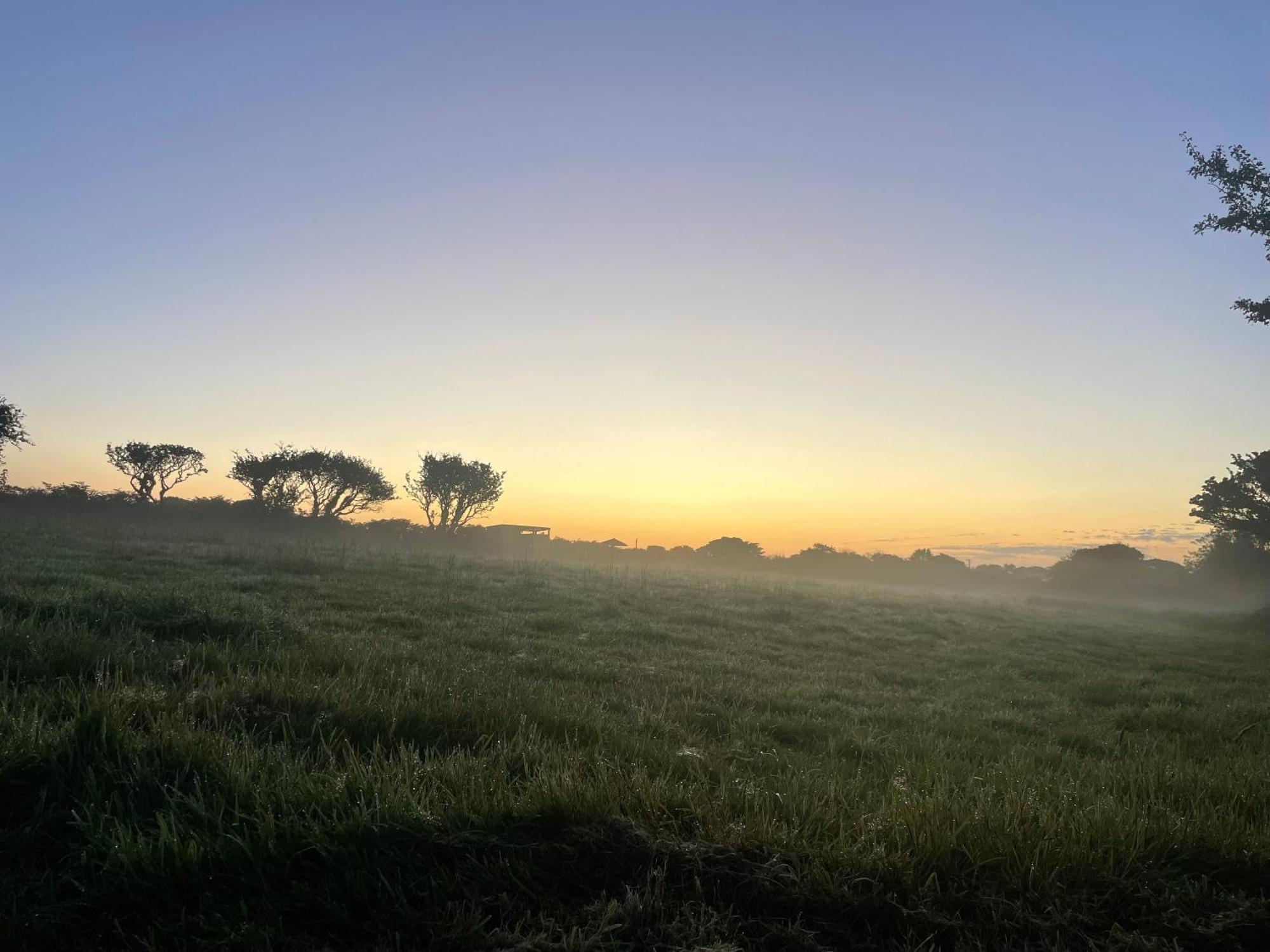 Trevena Cross Glamping & Camping 赫尔斯顿 外观 照片