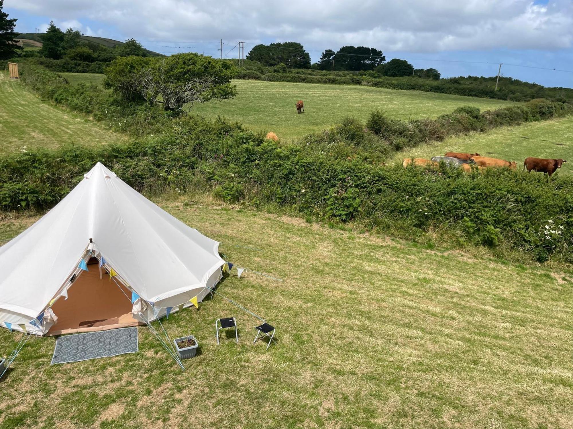 Trevena Cross Glamping & Camping 赫尔斯顿 外观 照片